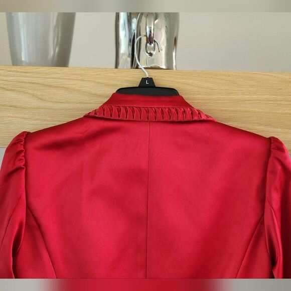 Crimson Elegance Pleated Lapel Skirt Suit - Picture 10 of 11